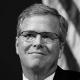 Bush
